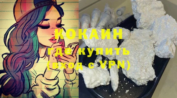 прущие грибы Балабаново