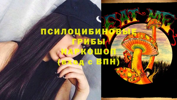 прущие грибы Балабаново