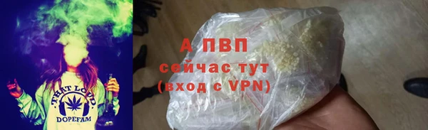 прущие грибы Балабаново