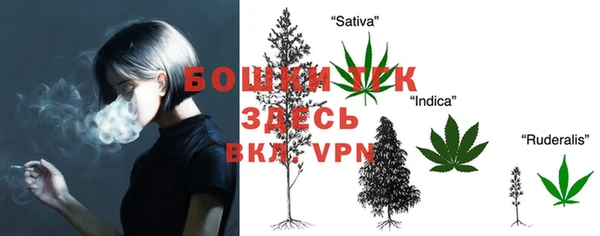 прущие грибы Балабаново