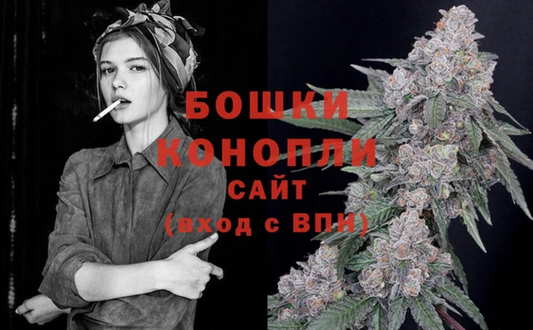 прущие грибы Балабаново