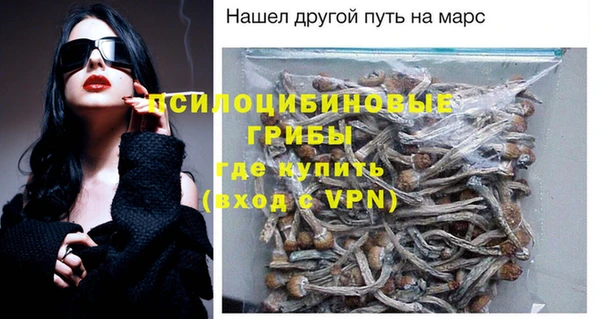 дурь Балахна