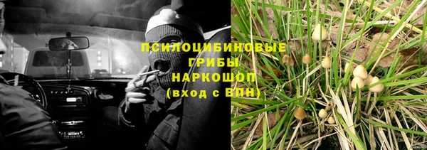 дурь Балахна