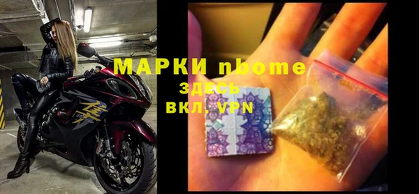 прущие грибы Балабаново