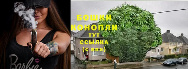 jwh Белокуриха