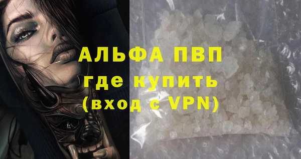 прущие грибы Балабаново